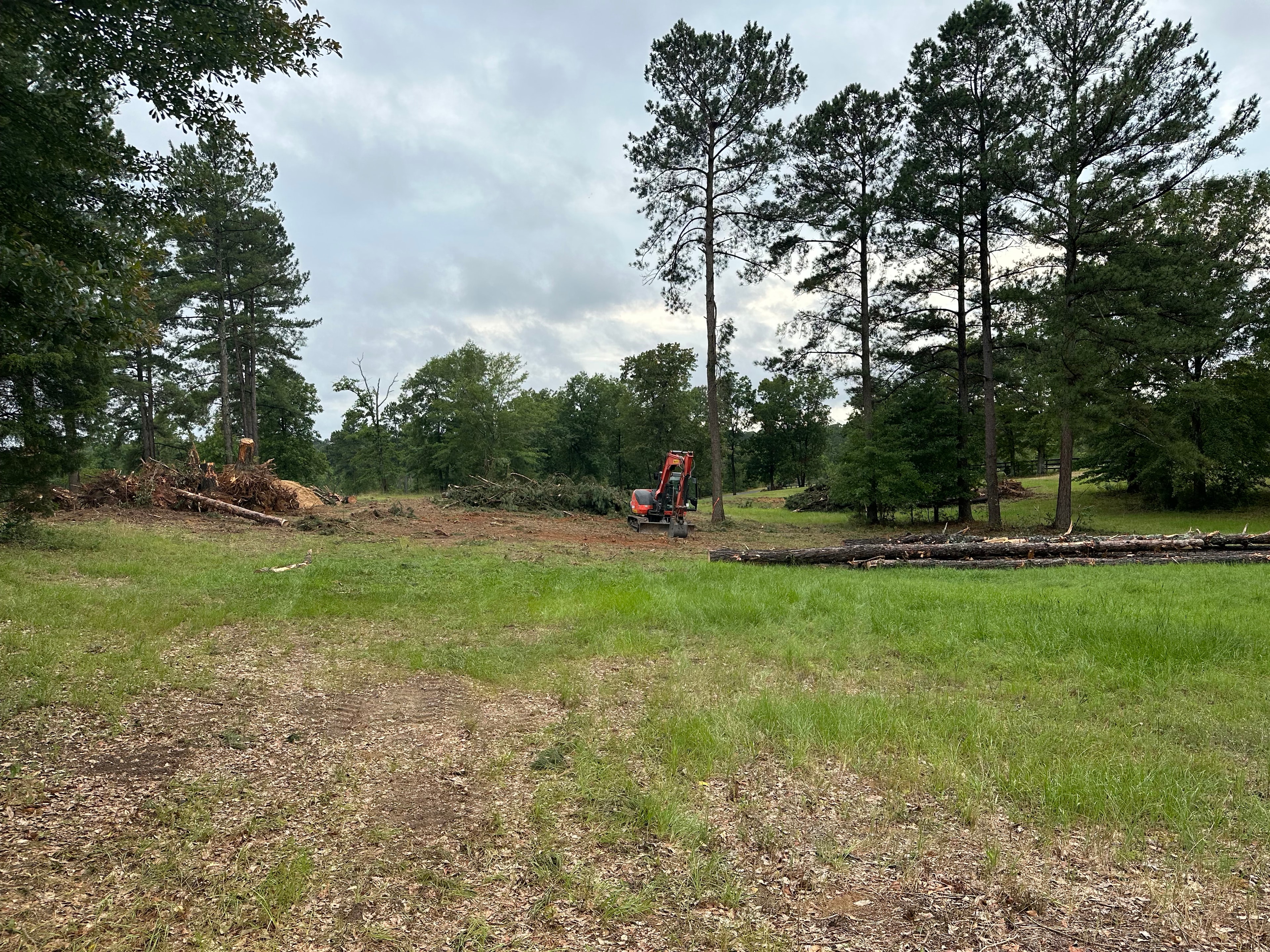 Before: Full Lot Clearing — Beech Island, SC