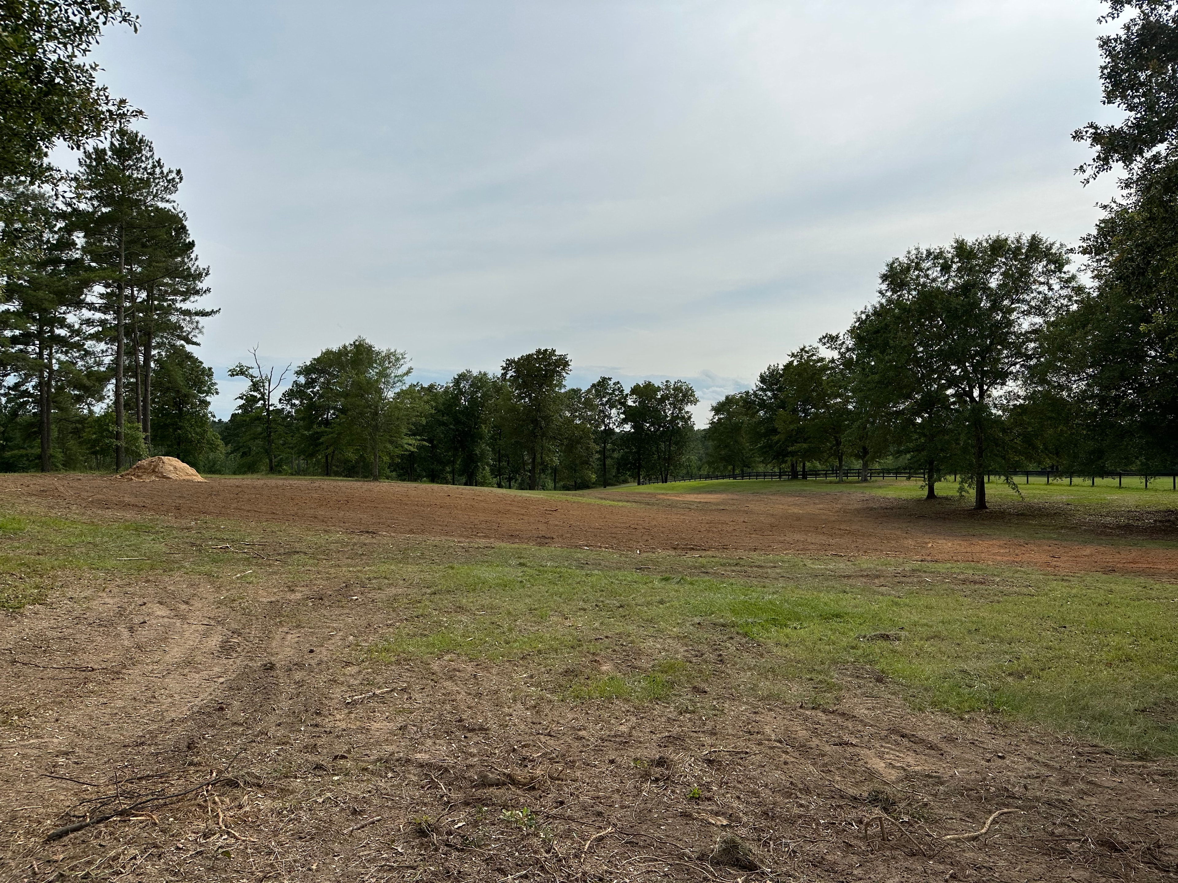 Land Clearing